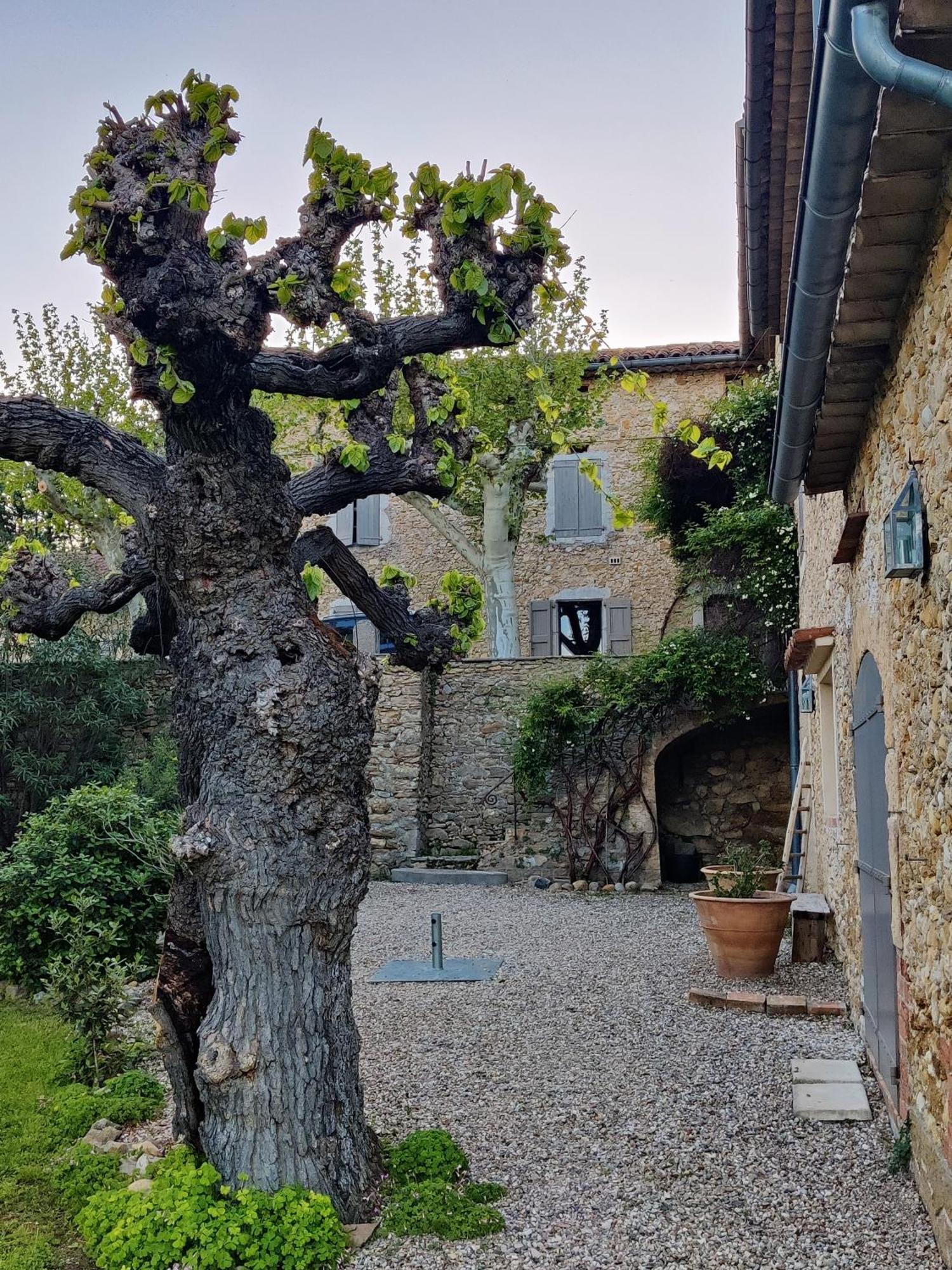 Gite Proche De La Bambouseraie Boisset-et-Gaujac Exterior foto